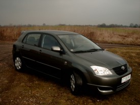 corolla1.jpg
